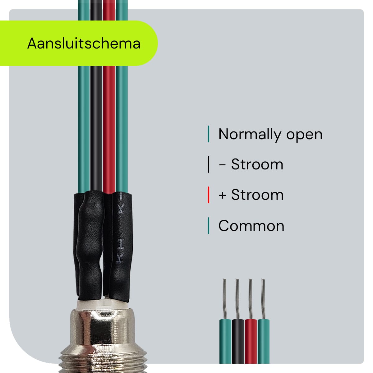 P-10mm-220V-ZLV-R_Technical-Information-4-copy