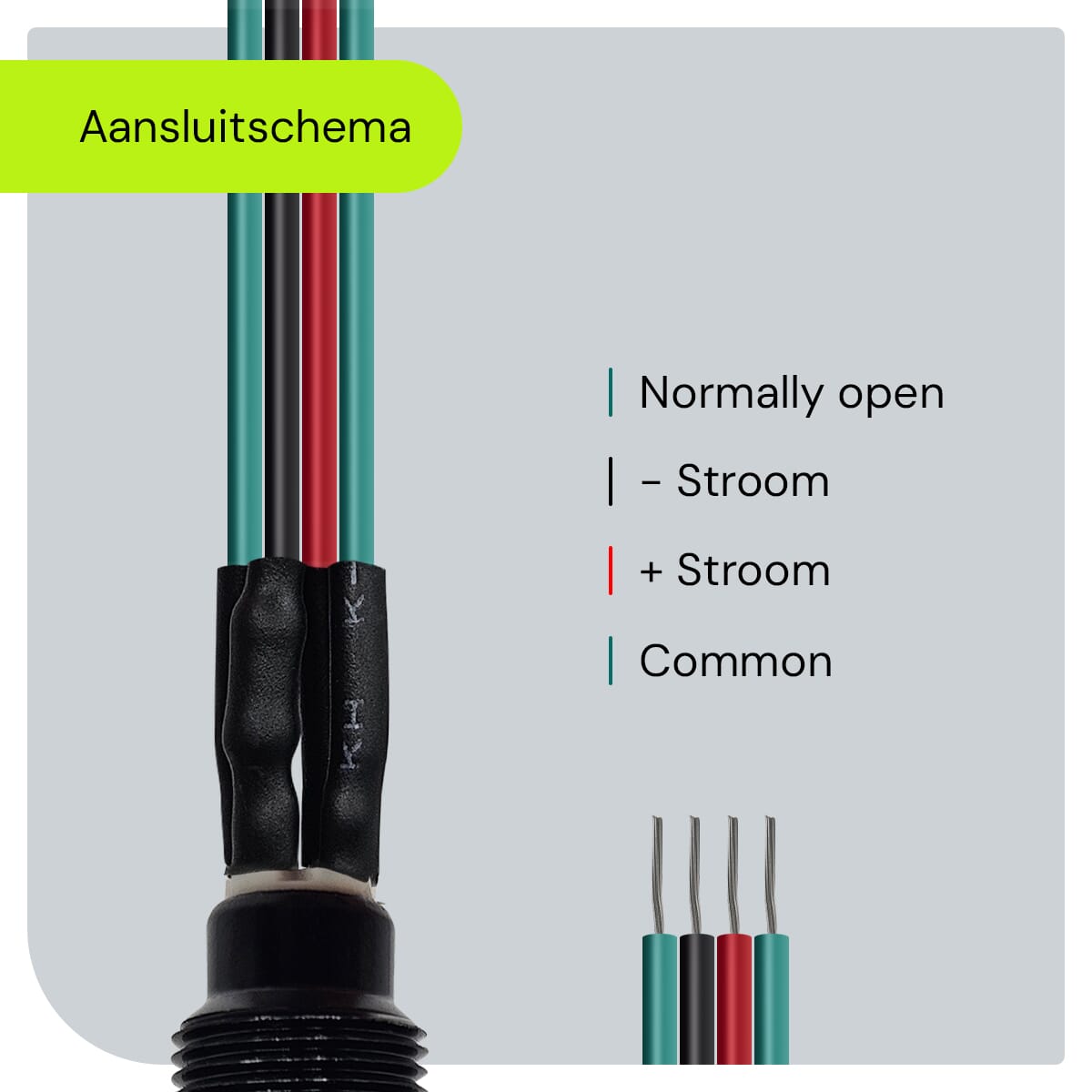 P-10mm-220V-ZW-Y_Technical-Information-4-copy