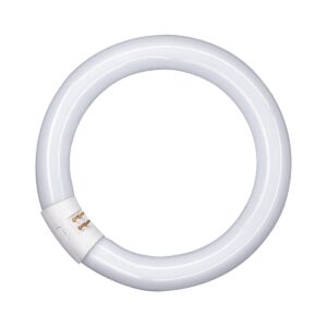 Osram Lumilux® Circular Compact Fluor T9 22W 6500K 1300lm - 865 - 4-pins G10Q - Ø29cm - Koel Wit Licht