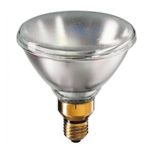 Philips PAR38 Reflector Lamp E27 120W 2700K 24V - Warm Wit Licht