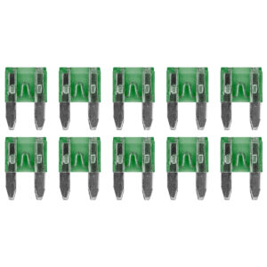 ProRide Steekzekeringen Mini 30A - Groen - Geschikt voor auto, boot en camper - 10 stuks