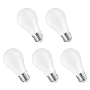 Spectrum LED Lamp E27 10W - 24V - 1100 Lumen - 6000K Koud wit - Helder daglicht - Energiezuinig - 5 stuks