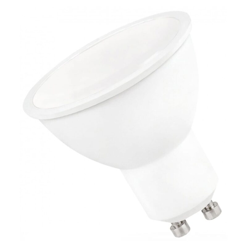 Spectrum-0890-5902650500266