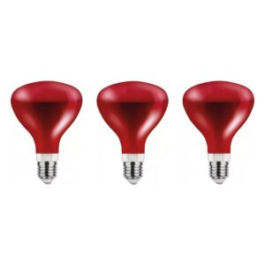 Asalite Infrarood Warmtelamp Rood G95 E27 - 100W - 2800K - IR Verwarmingslamp - Ø95mm - 3 stuks