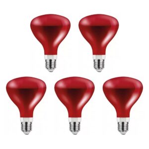 Asalite Infrarood Warmtelamp Rood G95 E27 - 100W - 2800K - IR Verwarmingslamp - Ø95mm - 5 stuks