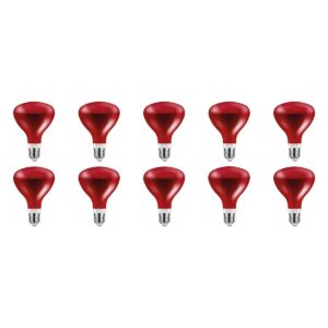 Asalite Infrarood Warmtelamp Rood G95 E27 - 100W - 2800K - IR Verwarmingslamp - Ø95mm - 10 stuks