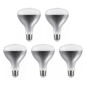 Asalite Infrarood Warmtelamp Helder Glas R125 E27 - 250W - 2800K - Reflectorlamp Ø125mm - 5 stuks