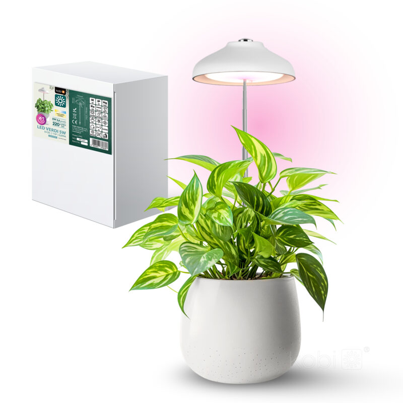 lampa-do-roslin-led-verdi-5w-3200k-kobi-design-d95c0fb7fbbc49629f4fe910f6e7d8ce-f534e6f5
